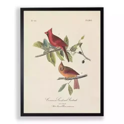 Vintage Cardinal Birds Framed Art Print