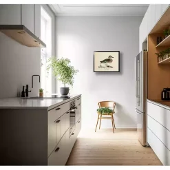 Vintage Common Teal Duck Framed Art Print