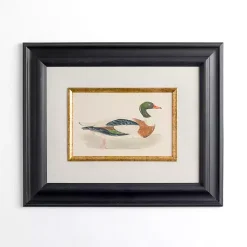 Vintage Duck Framed Art Print