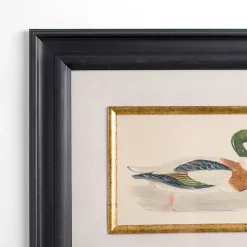 Vintage Duck Framed Art Print