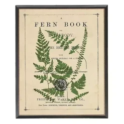 Vintage Fern II Framed Art Print