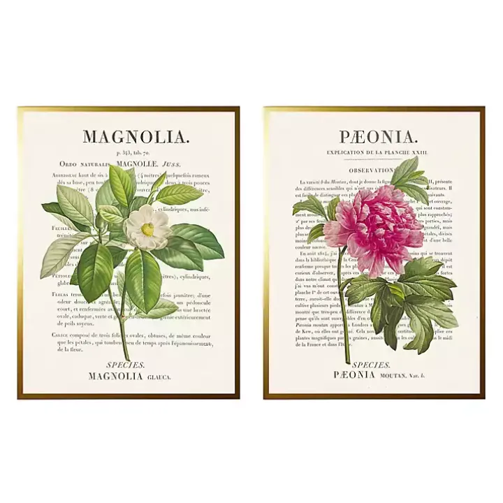 Vintage Floral Diagram Framed Art Prints, Set of 2