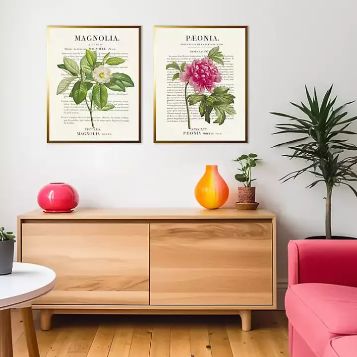 Vintage Floral Diagram Framed Art Prints, Set of 2
