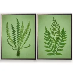 Vintage Green Ferns II Framed Art Prints, Set of 2