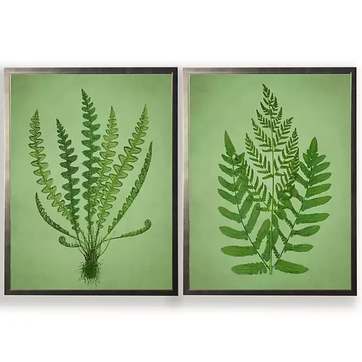 Vintage Green Ferns II Framed Art Prints, Set of 2