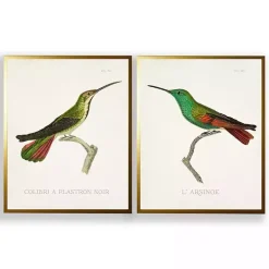 Vintage Hummingbird I 2-pc. Framed Art Print Set