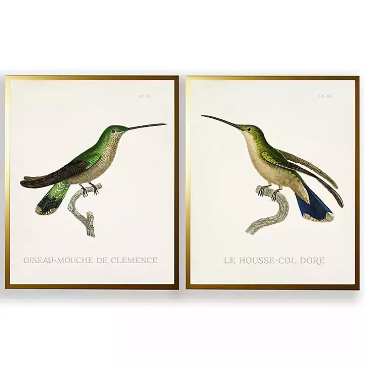 Vintage Hummingbird II 2-pc. Framed Art Print Set
