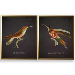 Vintage Hummingbird III 2-pc. Framed Art Print Set