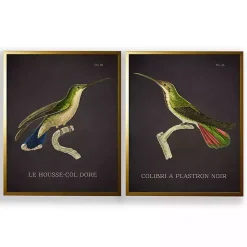 Vintage Hummingbird IV 2-pc. Framed Art Print Set