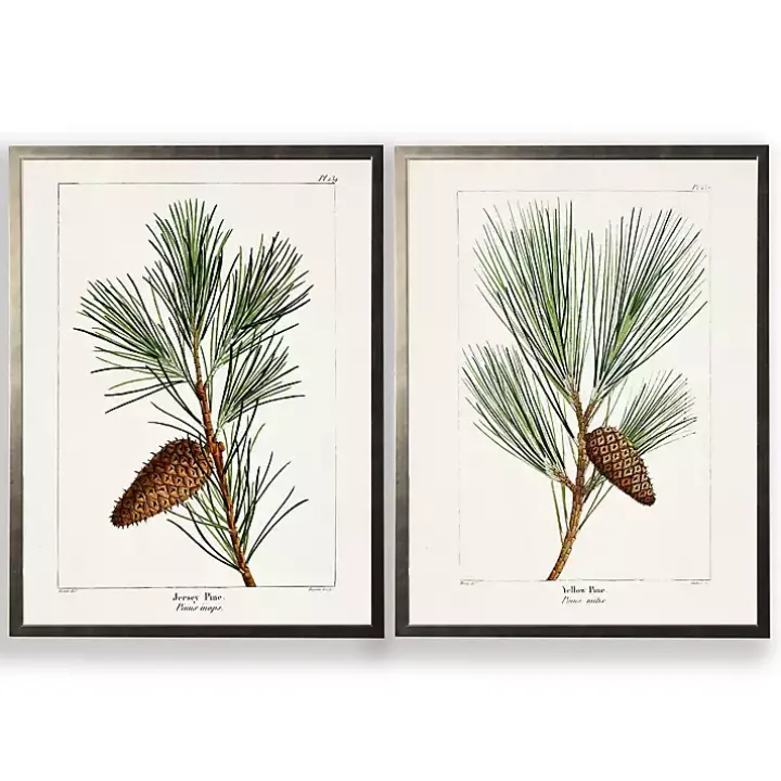 Vintage Pine Leaves Framed Art Prints, Set of 2