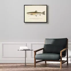 Vintage Rocky Mountain Trout Framed Art Print