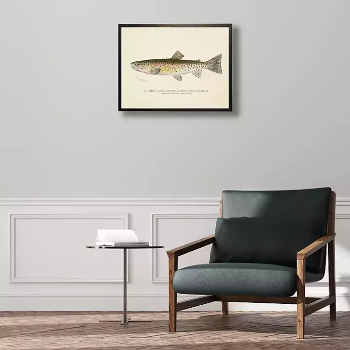 Vintage Rocky Mountain Trout Framed Art Print