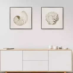 Vintage Shells Framed Canvas Art Prints, Set of 2