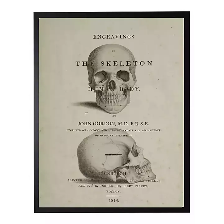 Vintage Skull Framed Halloween Wall Art