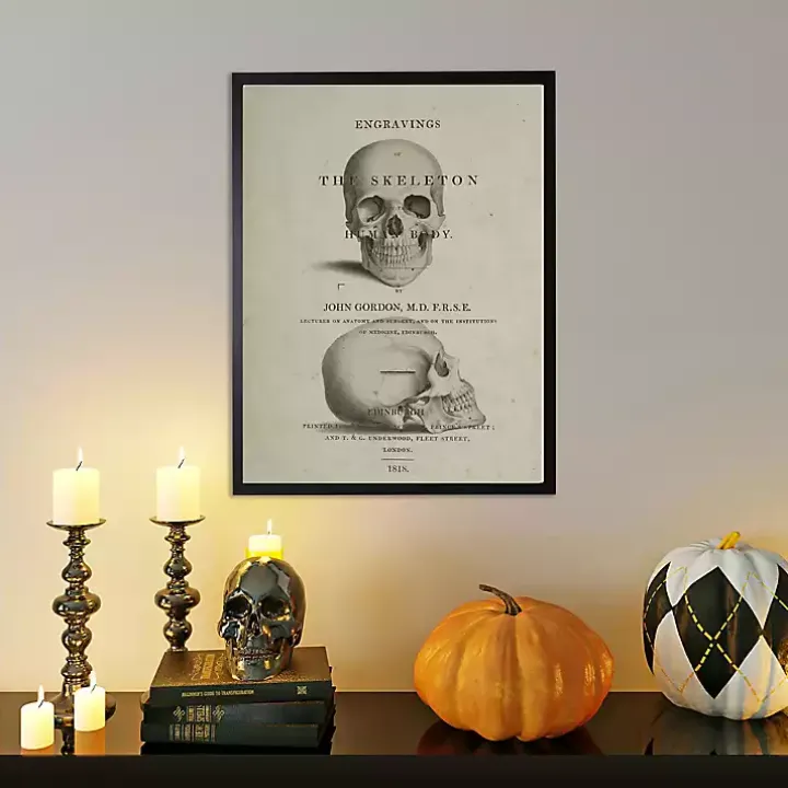 Vintage Skull Framed Halloween Wall Art
