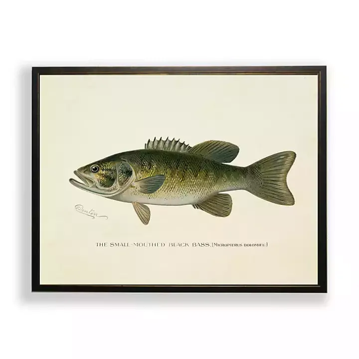 Vintage Small Mouthed Bass Framed Art Print