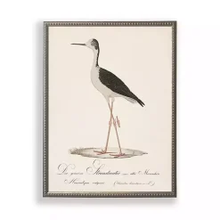 Vintage Waterbird Facing Left Framed Art Print