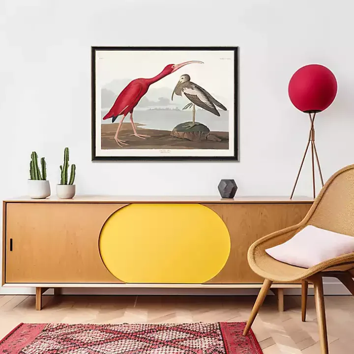 Vintage Waterbird Pair Bookplate Framed Art Print