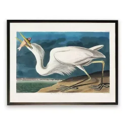 Vintage White Pelican With Fish Framed Art Print