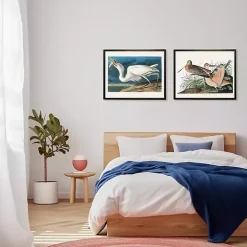 Vintage White Pelican With Fish Framed Art Print