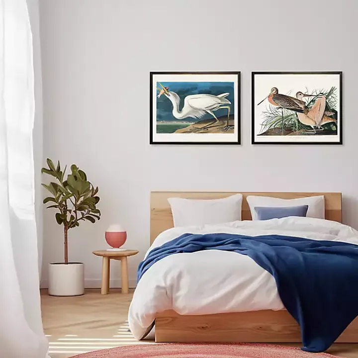 Vintage White Pelican With Fish Framed Art Print