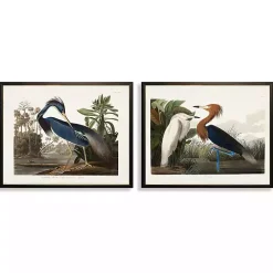 Water Birds Framed Art Prints, Set of 2