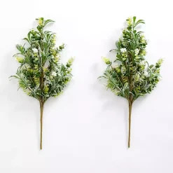 White Berry Boxwood Bushes, Set of 2