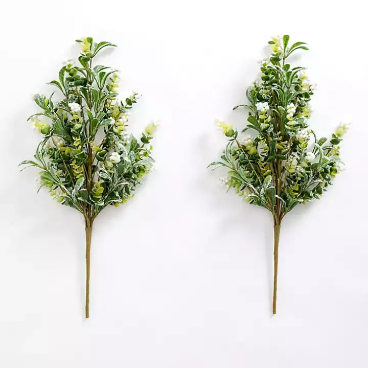 White Berry Boxwood Bushes, Set of 2