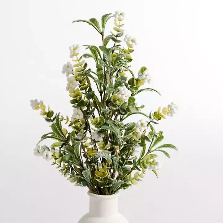 White Berry Boxwood Bushes, Set of 2