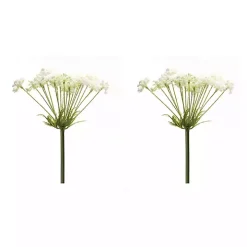 White Queen Anne's Lace Stems, Set of 2