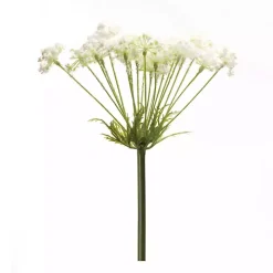 White Queen Anne's Lace Stems, Set of 2