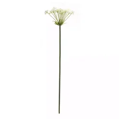 White Queen Anne's Lace Stems, Set of 2