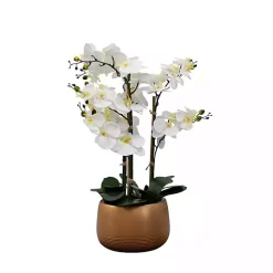 White Real Touch Orchid Arrangement in Gold Pot