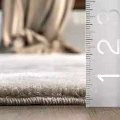 Whitlow Gray Shag Washable Area Rug, 6x9