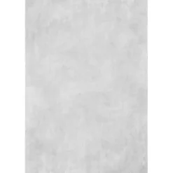 Whitlow Silver Shag Washable Area Rug, 6x9