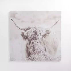 Wild Highland Cow Canvas Art Print