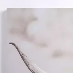 Wild Highland Cow Canvas Art Print