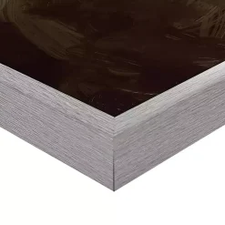 Wild Ride Framed Canvas Art Print