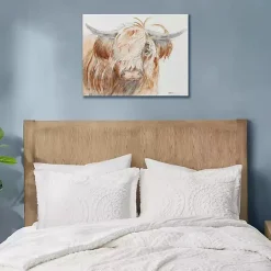 Windswept Highland Bull Canvas Art Print