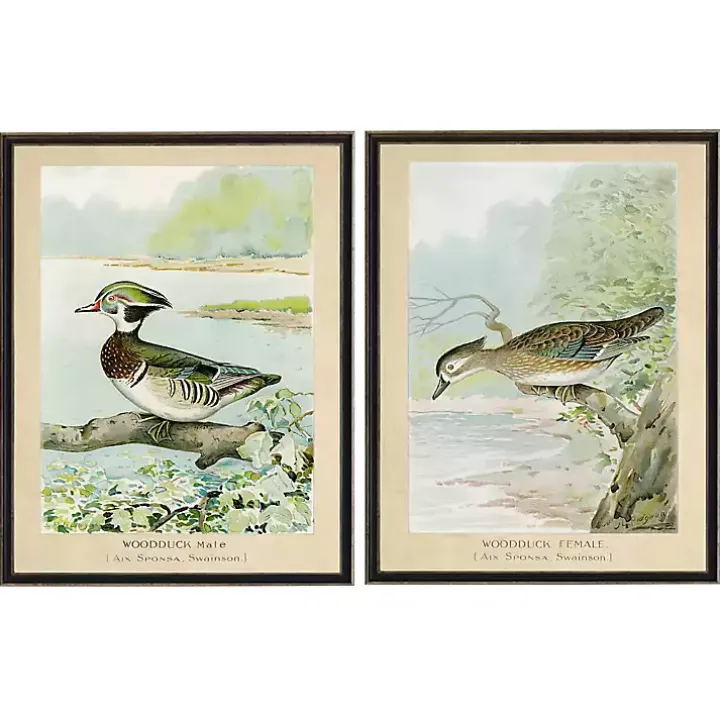 Wood Duck Duo Framed Art Prints, Set of 2