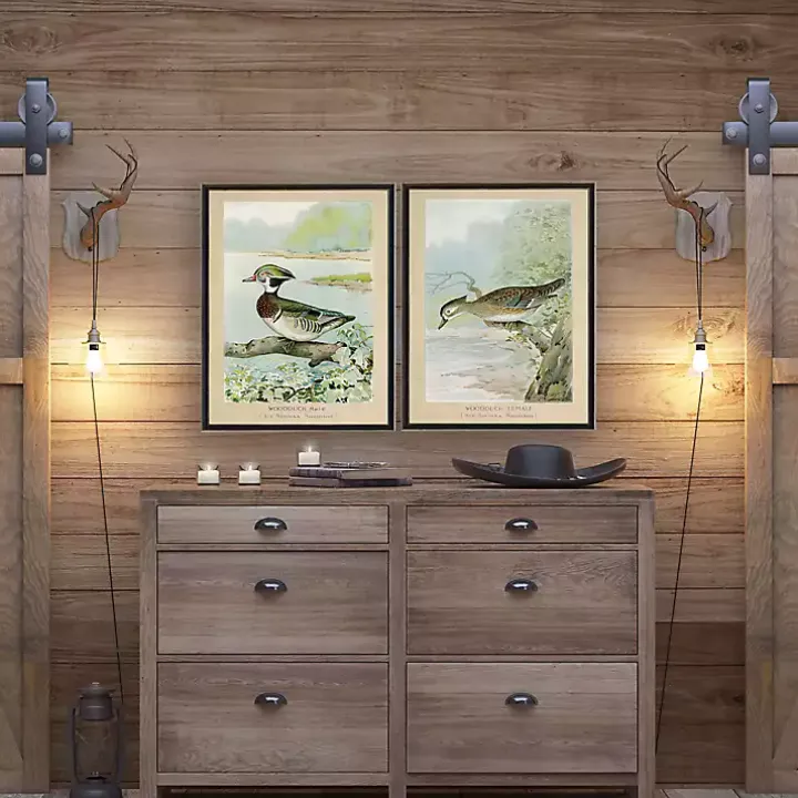 Wood Duck Duo Framed Art Prints, Set of 2