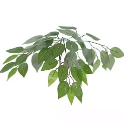 Wood Trunk Ficus Bush in Rattan Basket