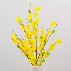Yellow Forsythia Stems, Set of 3