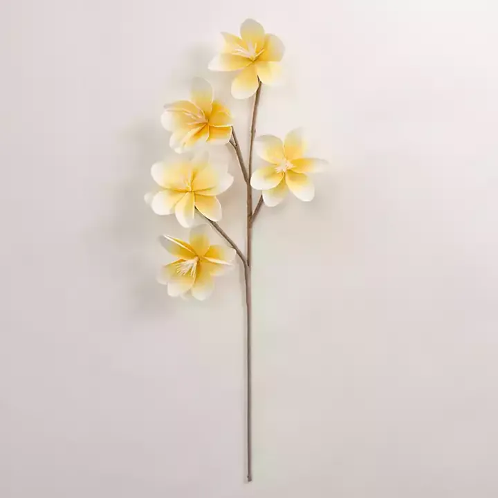 Yellow Japanese Magnolia Foam Spray