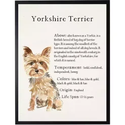 Yorkshire Terrier Facts Framed Wall Plaque