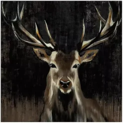 Young Buck Giclee Canvas Art Print, 30x30 in.