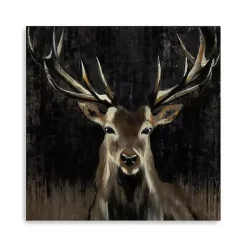 Young Buck Giclee Canvas Art Print, 40x40 in.