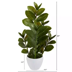Zamioculcas Plant in Chic White Planter