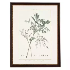 Zanthorhiza Greenery Black Beaded Framed Art Print